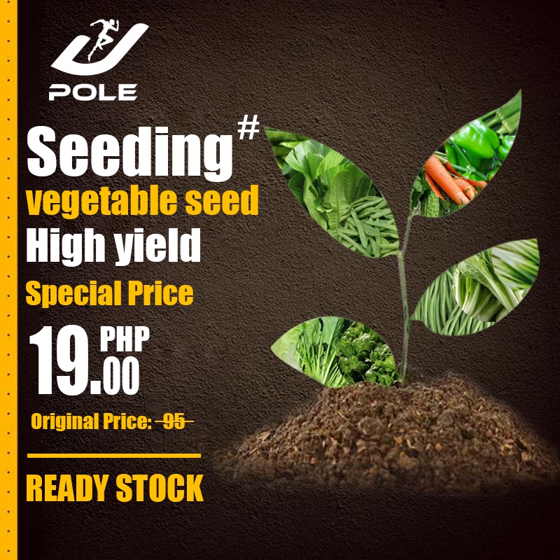 Vegetable Seeds Outdoor High Survival Rate Seeds Lettuce Seeds Eggplant