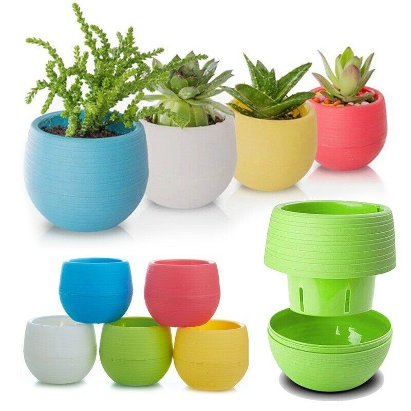 Buy 1 Get 1 Mini Colourful Round Plastic Plant Flower Pot Garden Home Office Decor Planter Desktop Shopee Philippines