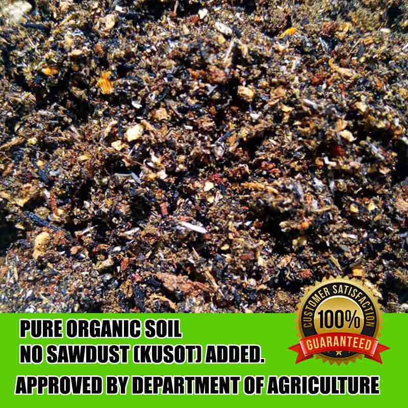 Pure 1kg Soil Mix with Vermicast, compost, loam soil, and Carbonized