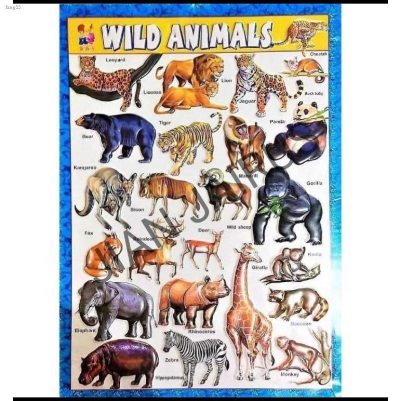 EMBOSSED PLASTIC CHARTS/EDUCATIONAL POSTER/ABC NUMBERS | Shopee Philippines