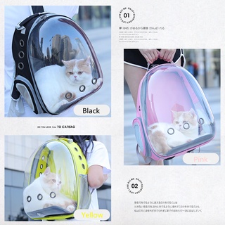 Pet Transparent Carrying Bag Portable Pet Outdoor Cat Travel Backpack Capsule Dog Cat