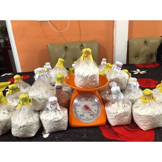 WHITE OYSTER MUSHROOM SPAWN IN PP BAGS (300+grams) #3