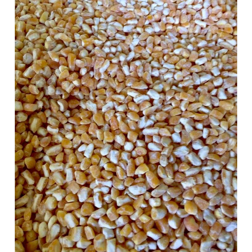 CRACKED CORN/ CORN GRITS FEED FOR BIRD CHICKEN FOOD CHICKEN FEEDS 1