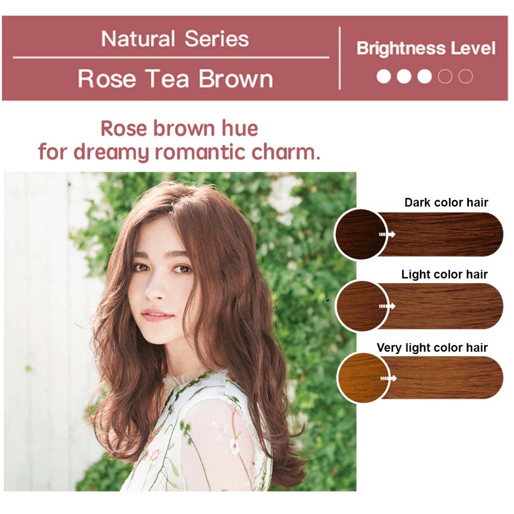 Liese Creamy Bubble Hair Color Rose Tea Brown Shopee Philippines