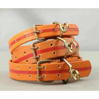 (hot)COD DVX Adjustable Heavy Duty Safety Pet Dog Collar Dog Belt
