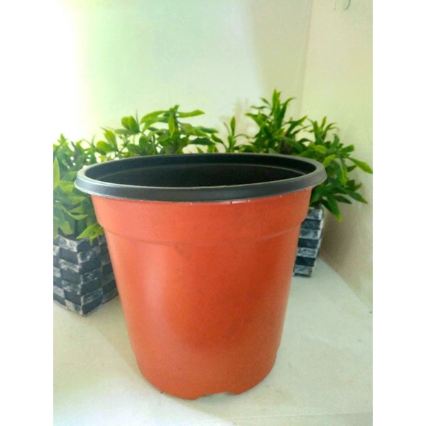 Plastic Nursery Pot/Pots Seedling Flower (15cm*13cm) | Shopee Philippines