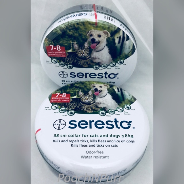 seresto collar kill fleas