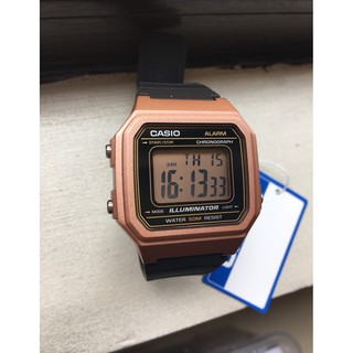 w217 casio