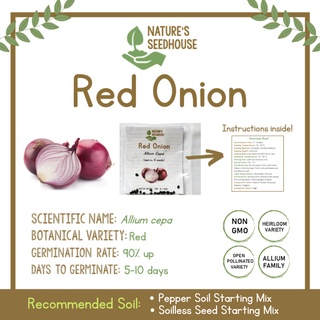 Red Onion Seeds Sibuyas Seeds Vegetable Seeds Plant Seeds