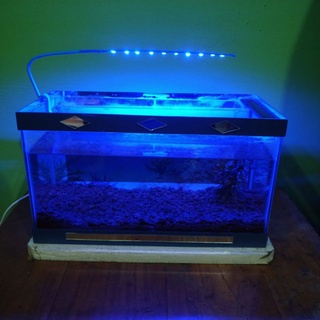 10 led Blue Light aquarium Fish Tank Lamp