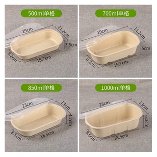 50pcs Oval Sugarcane Bagasse Biodegradable Box container with PET lid #5
