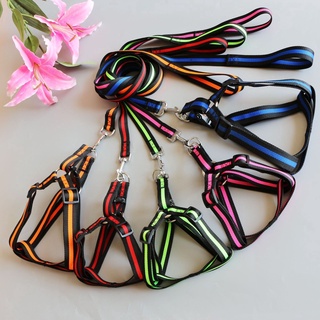 ◑❁✥2021 Hot Sell NON Retractable Dog Leash Harness Set with Adjustable Collar Heavy Duty Nylon for D