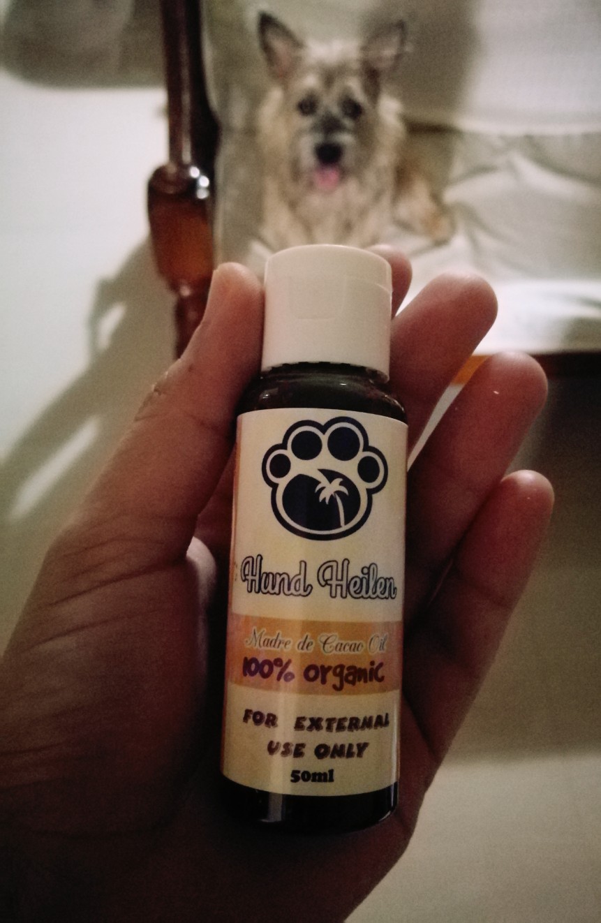 Fast Healing / Cure Premium MDC Madre de Cacao Organic Oil Hund Heilen