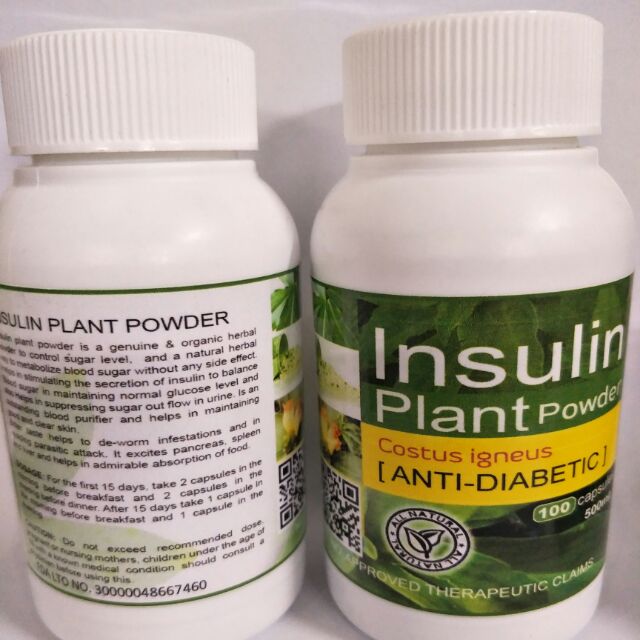 INSULIN PLANT POWDER ANTIDIABETIC 100 capsules Shopee