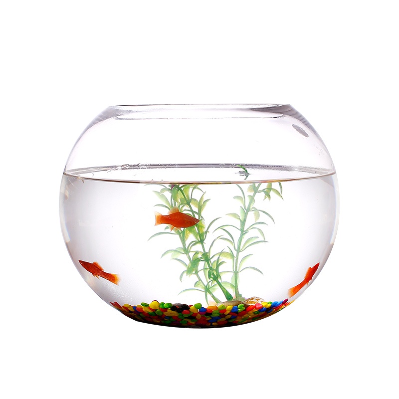 Clear Glass Vase transparent(Fish Bowl #15cm | Shopee Philippines