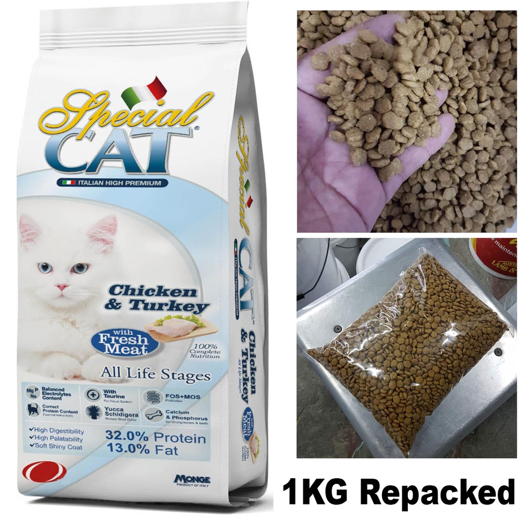 special cat food