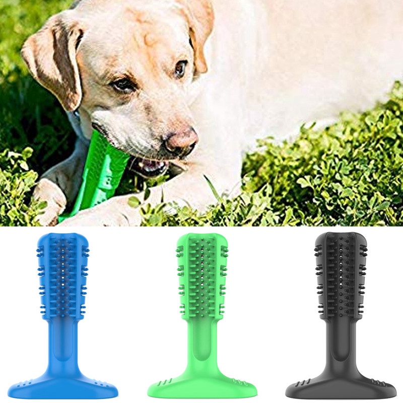 dog toothbrush target