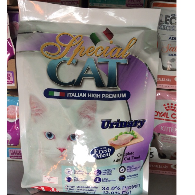special cat food