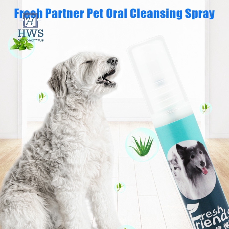 dog teeth cleaning liquid