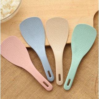 TS Rice Paddle Food Service Spoon Servings Spoon Sandok Kitchen Utensils