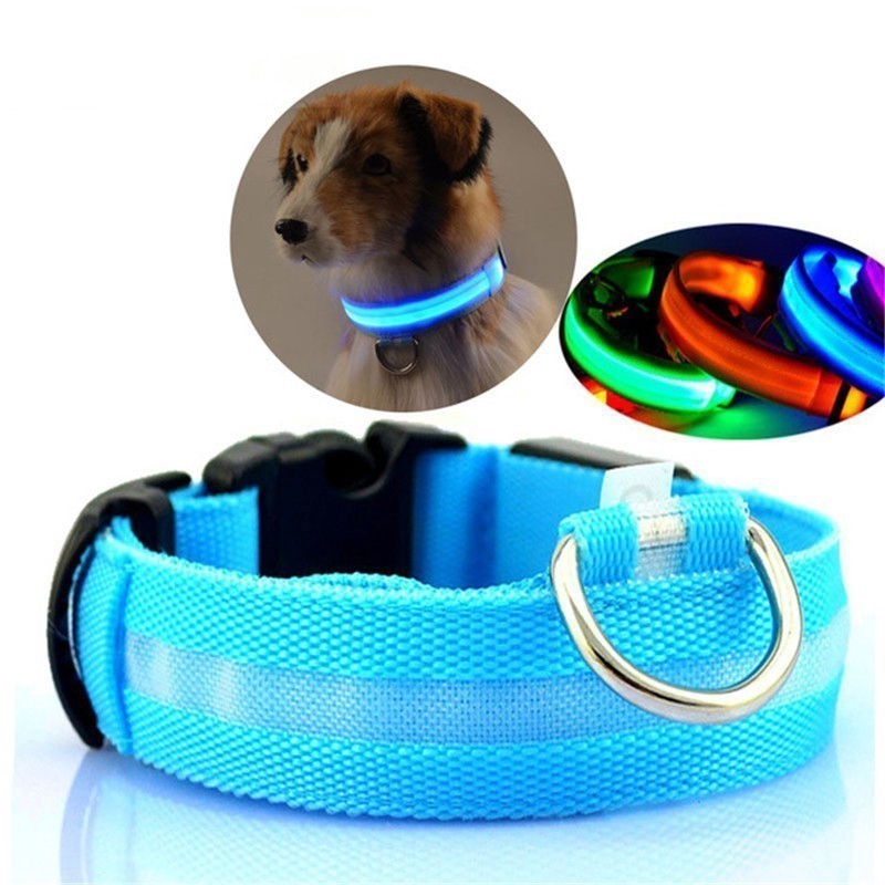 glow dark dog collars
