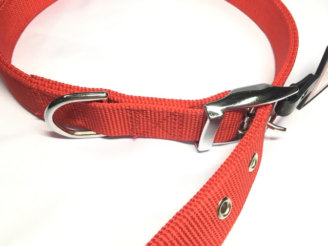 buckle dog collars