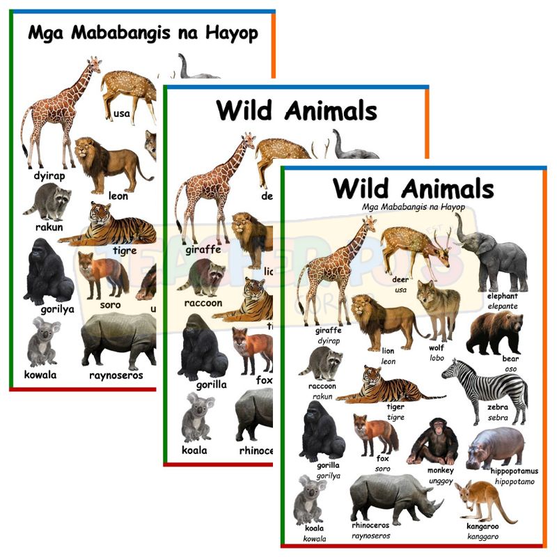 A4 Wild Animals Laminated Educational Wall Chart For Kids Shopee 