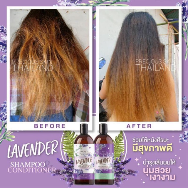 Distributor Cod On Hand Set Lavender Natural Shampoo