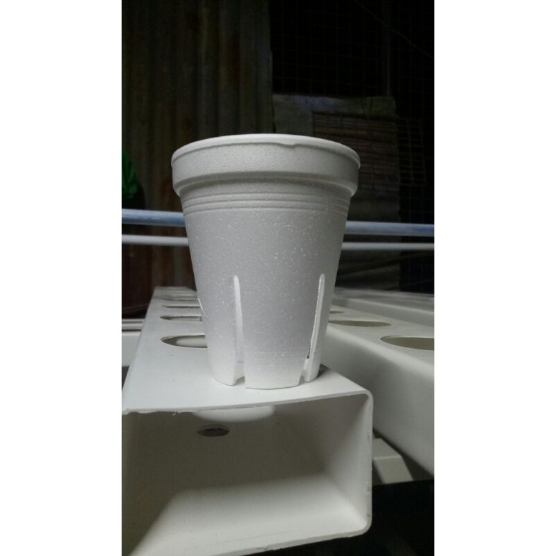 styro cup 8oz with holes for hydroponics 25pcs Shopee Philippines