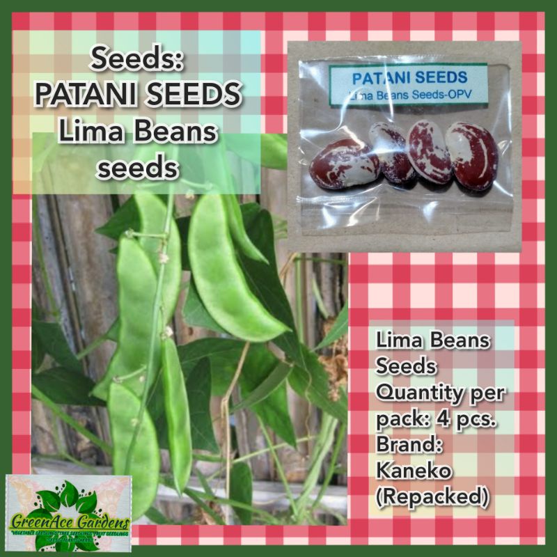 Seeds PATANI SEEDS (Lima Beans) Shopee Philippines