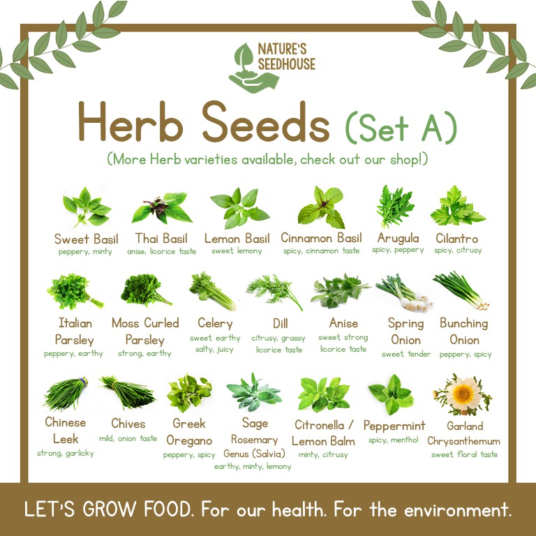 Herb Seeds Collection Set A Top-Quality Seeds | Shopee Philippines