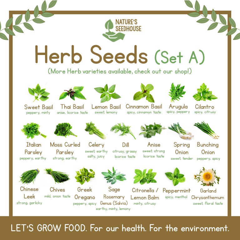 Top 91+ Wallpaper List Of Herbs With Pictures Excellent
