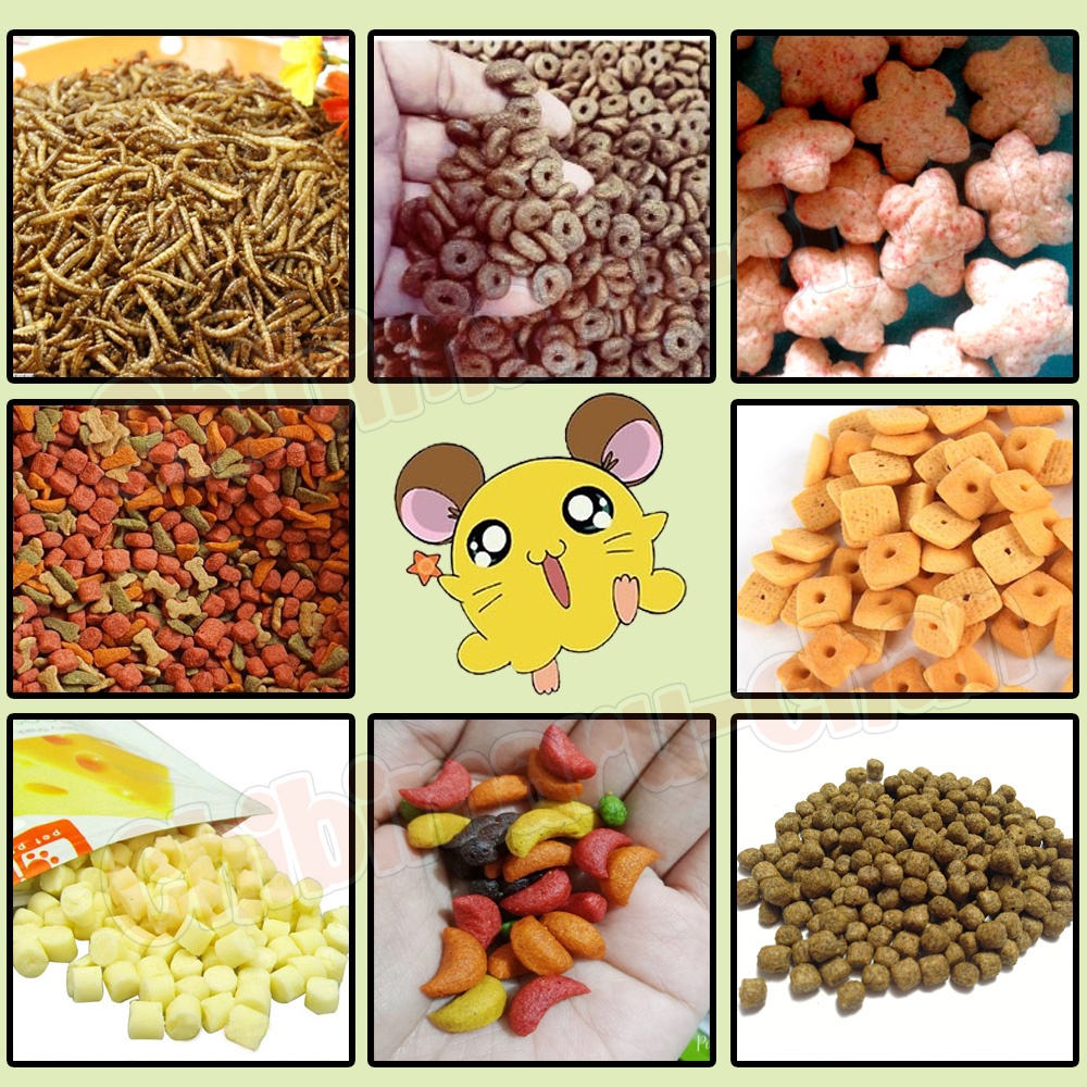 HAMSTER TREATS FOOD MAZURI LAB BLOCK JOLLY SMARTHEART MEALWORM