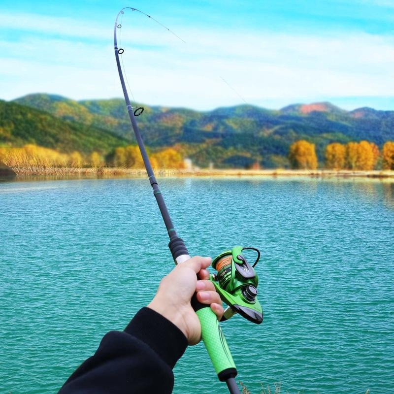 teal fishing rod and reel