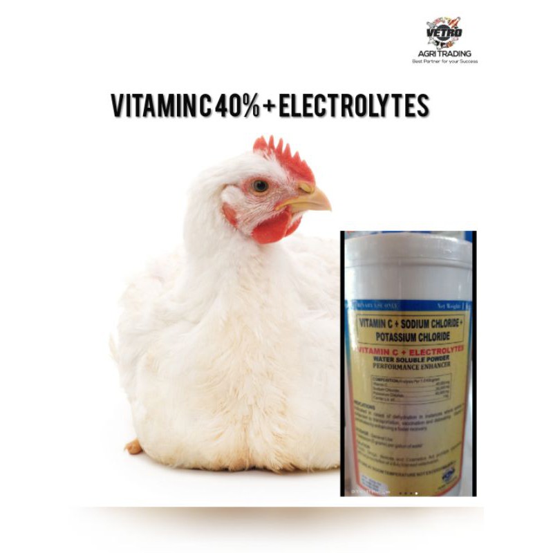VITAMIN C 40% + ELECTROLYTES 1KGS WS #1