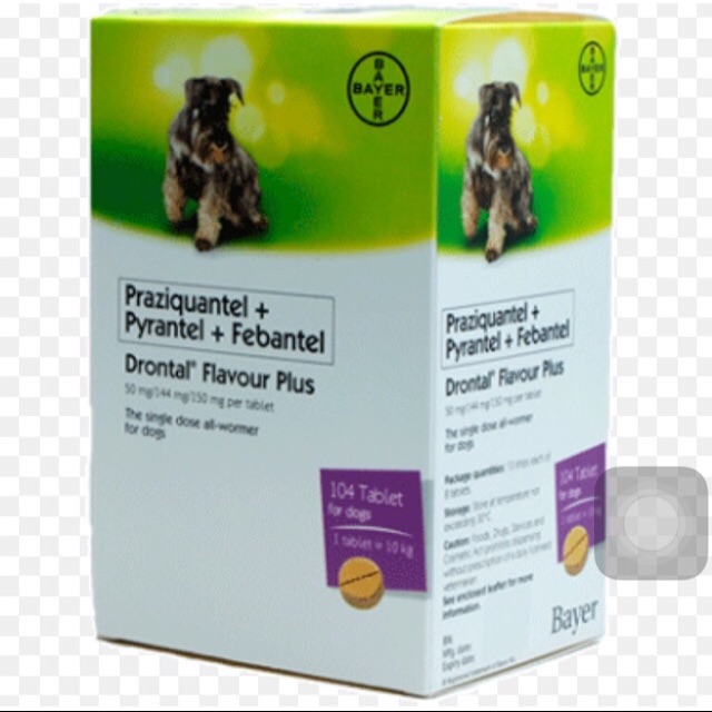 drontal plus for dogs flavor