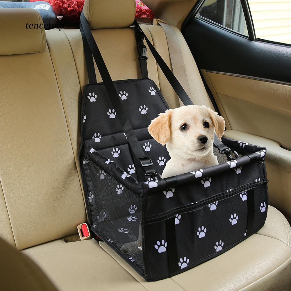 safest dog carrier for car