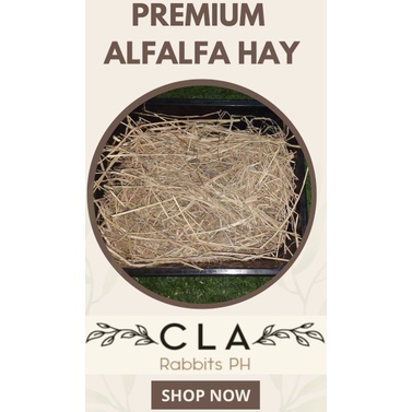 PREMIUM Quality Timothy Hay in Resealable Plastic