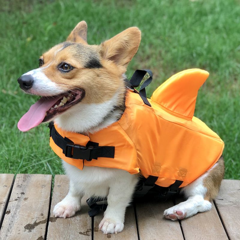 áƒ¦petcity Shark Dog Life Jacket Safety Clothing Pet Life Vest Summer Dog Swimming Clothes French Bulldog Fin Jacket Playing In The Sea Shopee Philippines