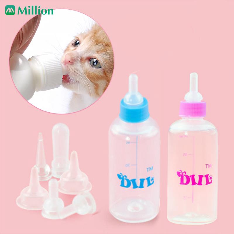 cat bottle feeder