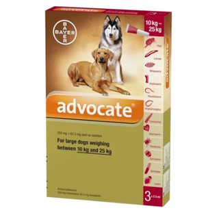 Bayer Advocate Spot On For Dogs 10-25kg for Large Breed (3 pipet)