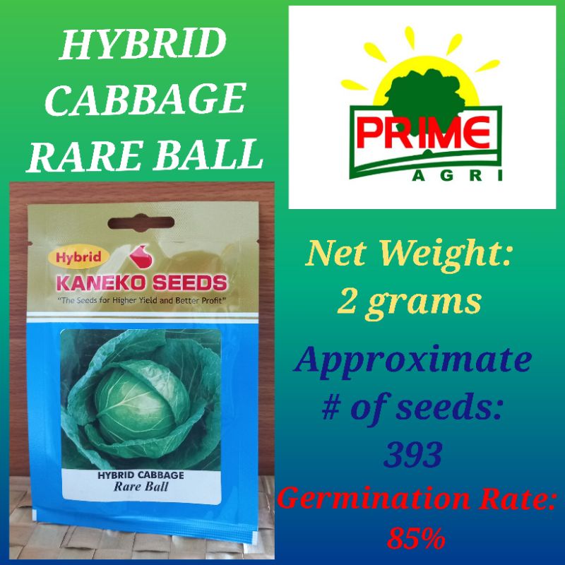 HYBRID CABBAGE RARE BALL KANEKO SEEDS Shopee Philippines