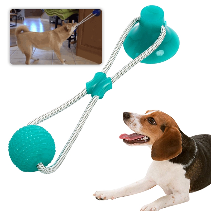 floor suction dog toy