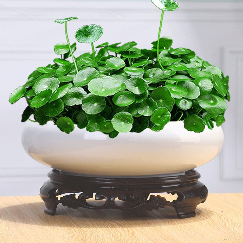 Largecaliber Jingdezhen ceramic flowerpot, large water tank, lotus pot