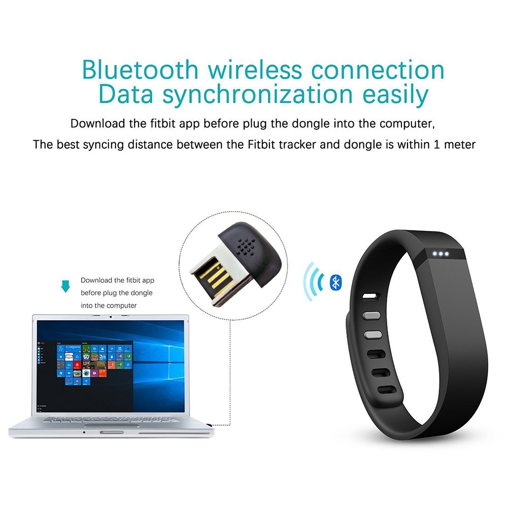 fitbit series