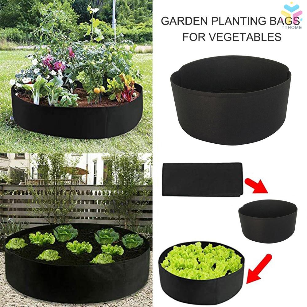 How To Use Grow Bags For Carrots IUCN Water