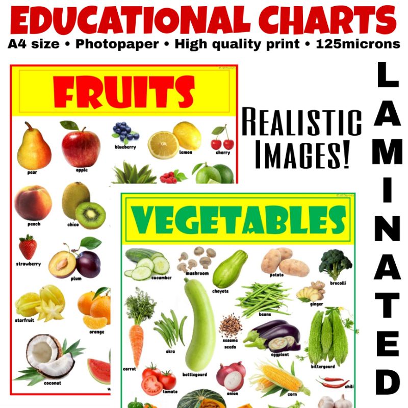 Fruits & Vegetables Educational Chart For Kids A4 Size Laminated 