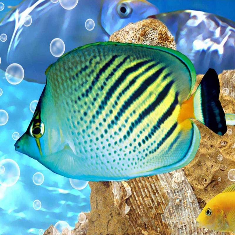 PVC Self Adhesive Waterproof 3D Floor Tiles Wallpaper Modern Underwater