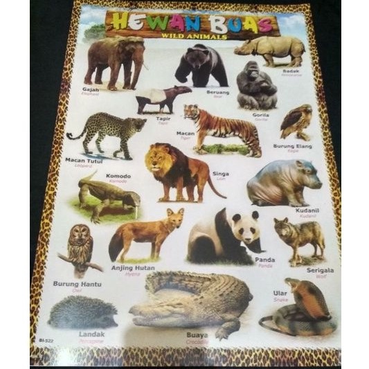 Wild Animal Educational Posters (Wild Animals) | Shopee Philippines