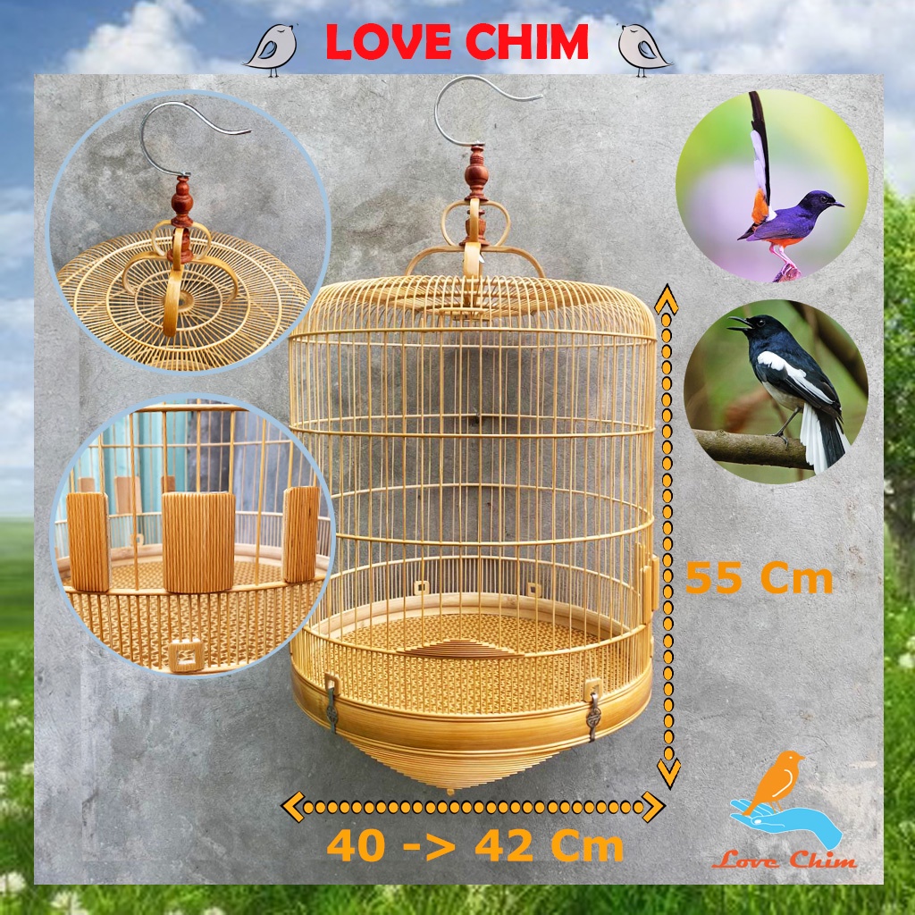 Magpie robin cage / the big bird cage /white-rumped shama cage lovechim